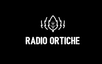 Radio Ortiche